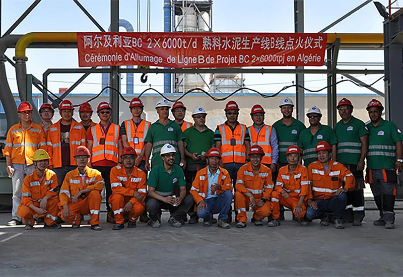 high frequency 80kva ups algeria cement plant critical power project